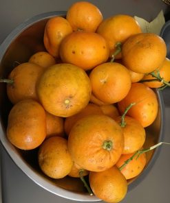 Photo of Seville oranges straight from the tree